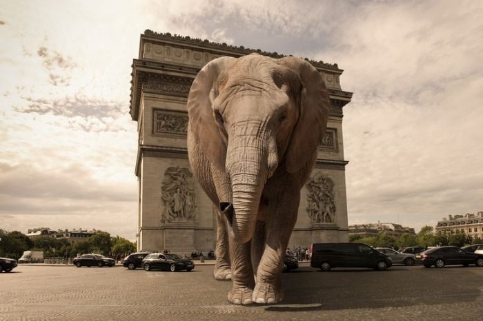 Un éléphant sème la terreur à Paris
